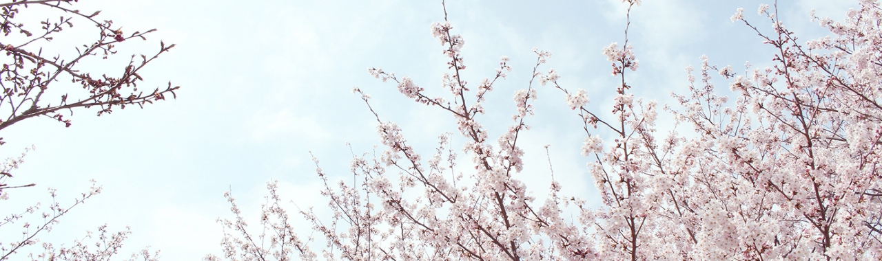 4月2日