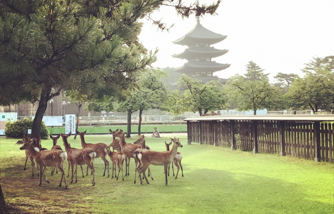 8月1日