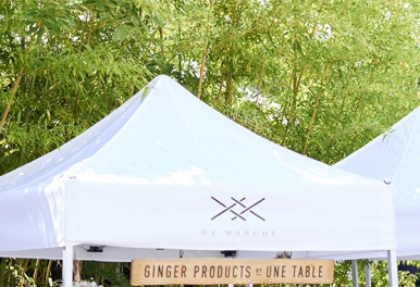 MARCHÉ33の店舗配置が決定いたしました。