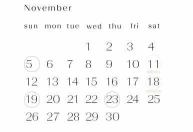 11月の休館日のお知らせ