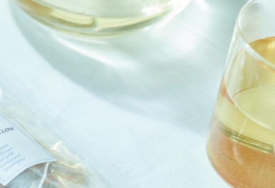 石田理恵さんの「冬のハーブ教室」のSCHOOLの開催が決定しました。