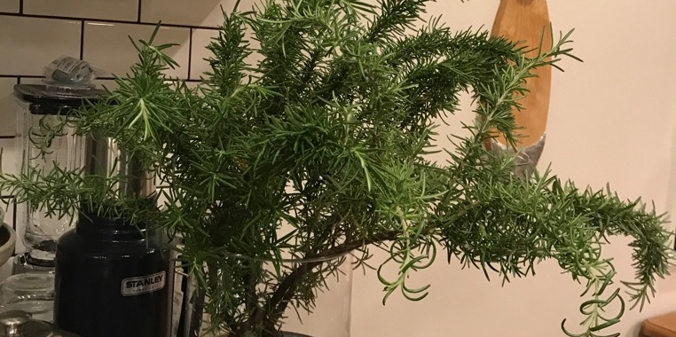 5月4日