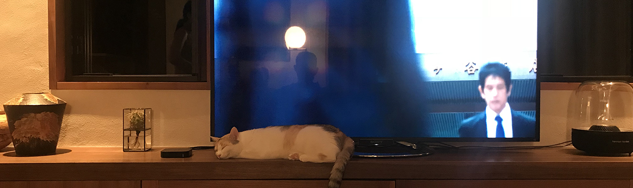 8月19日