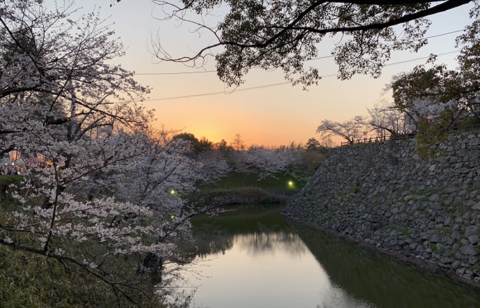 4月6日