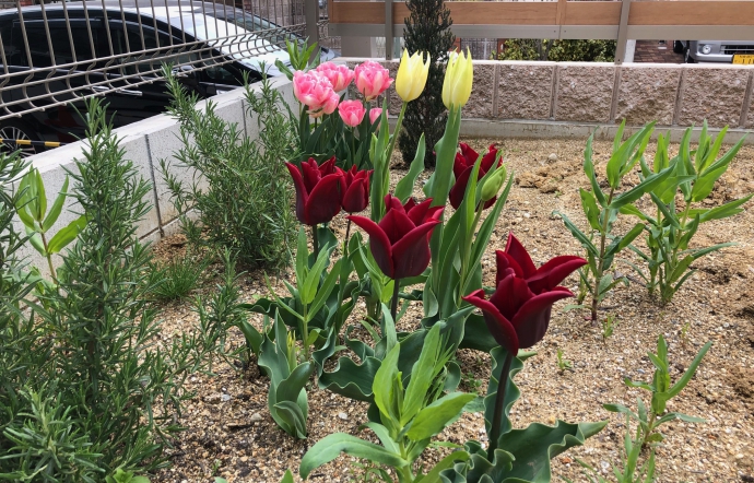 4月17日