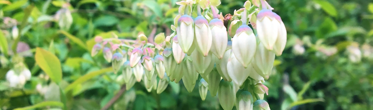 4月30日