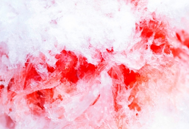 HJ MARCHÉ 43「7th Anniversary」のお知らせ