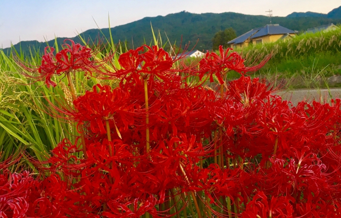 10月6日