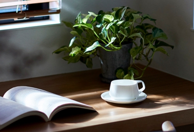 完成見学会のお知らせ