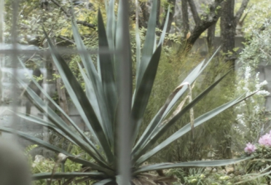 HJ GALLERY サイトリニューアルのお知らせ