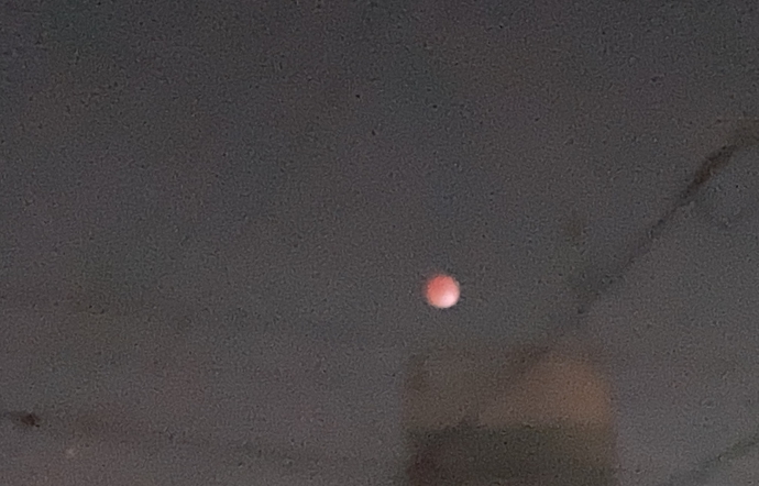 11月23日