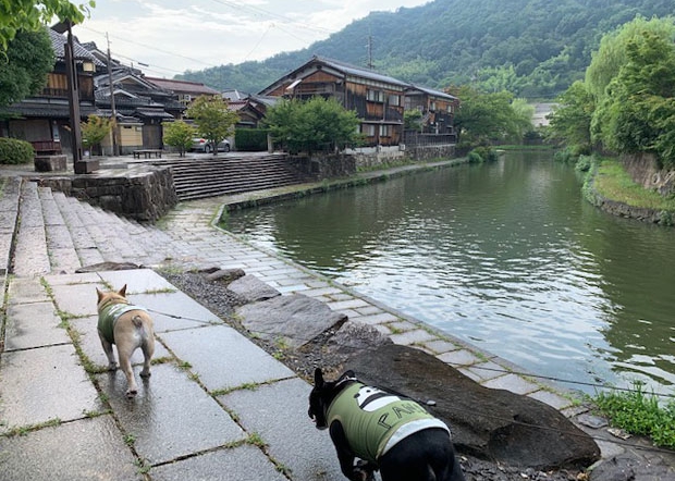 8月27日