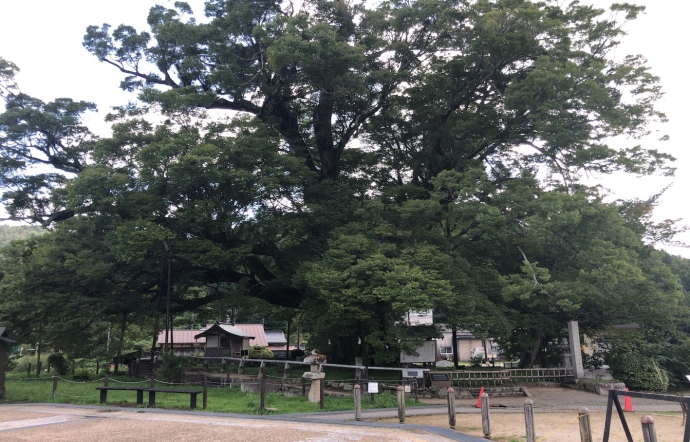 9月1日