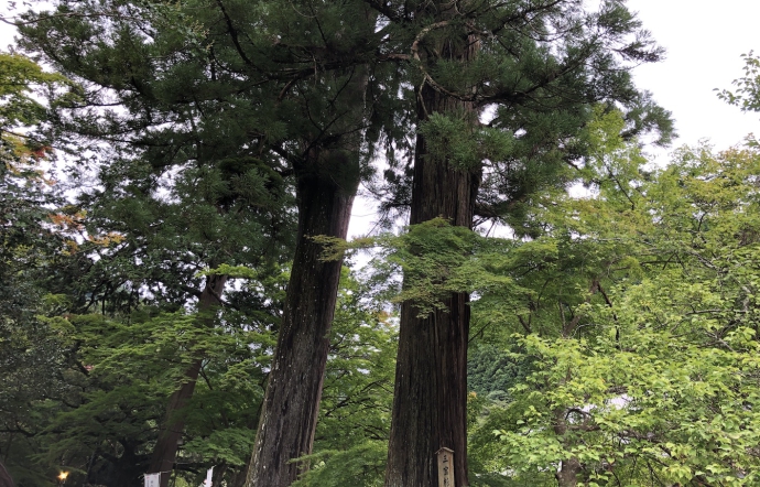 10月14日
