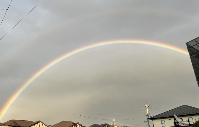 11月7日