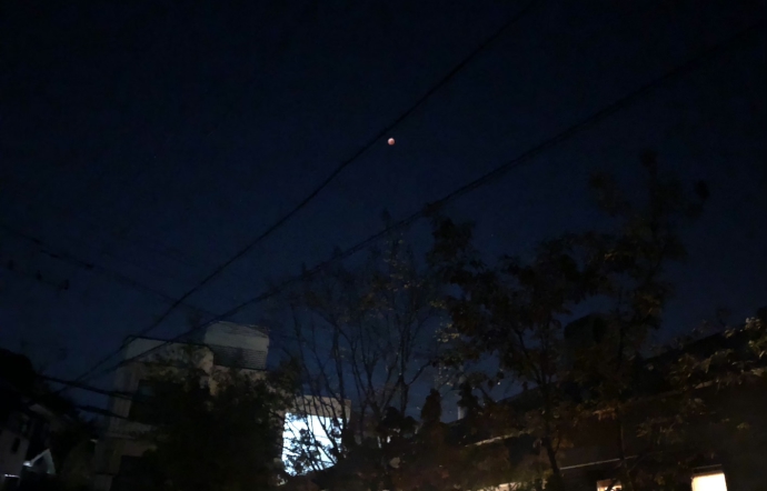 11月10日