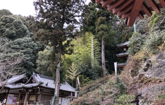 3月10日