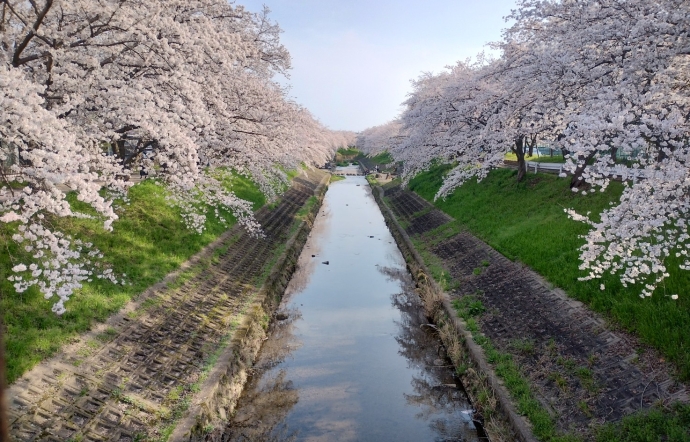 4月4日