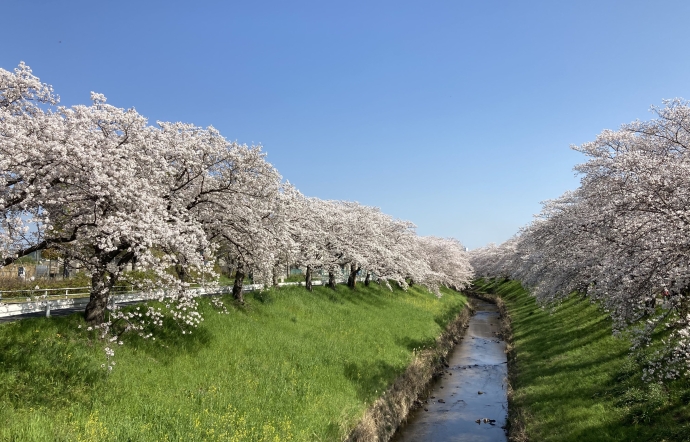 4月10日