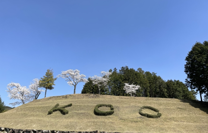 4月17日