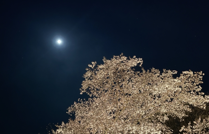 4月3日