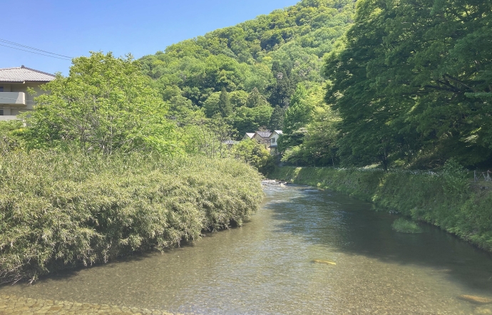 5月15日