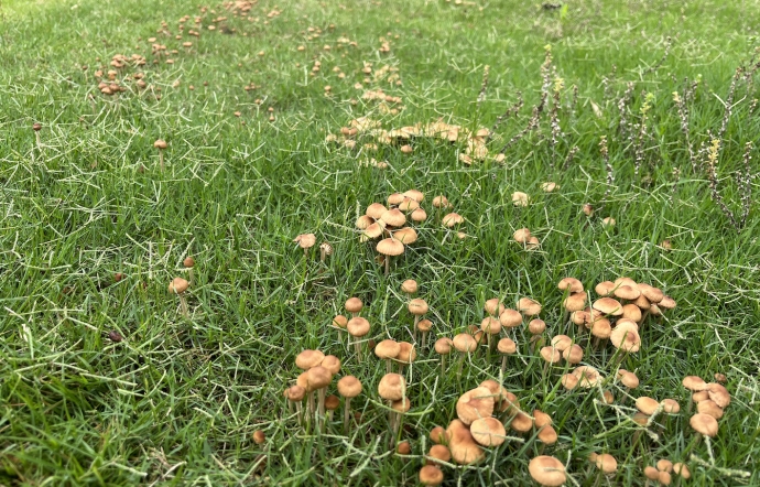 6月13日