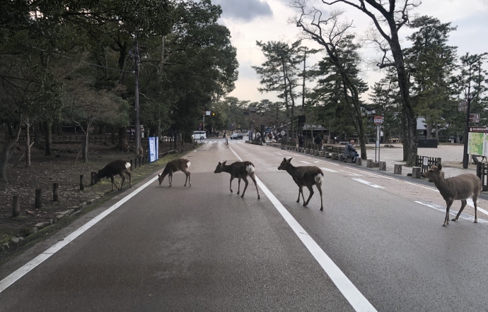 3月27日