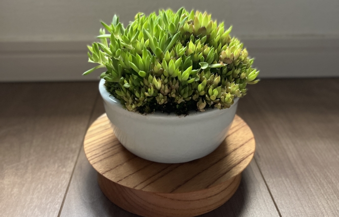 6月12日