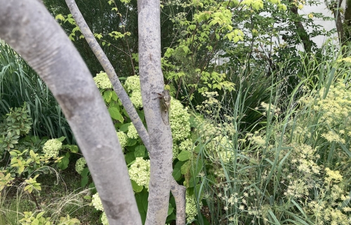 7月22日